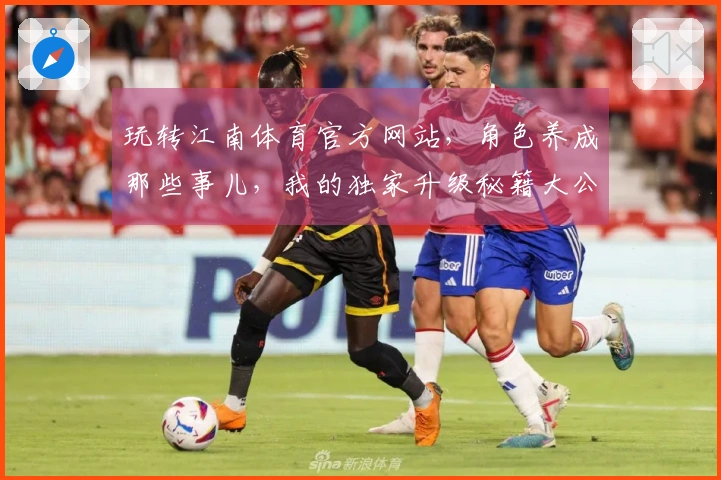 玩转江南体育官方网站，角色养成那些事儿，我的独家升级秘籍大公开！