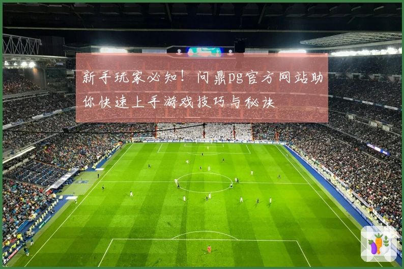 新手玩家必知！问鼎pg官方网站助你快速上手游戏技巧与秘诀
